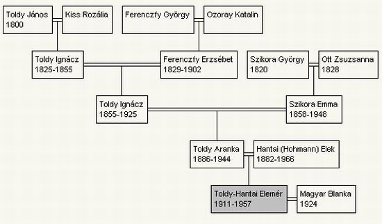 Toldy-Hantai Elemér családfája