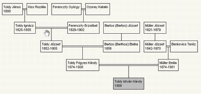 Toldy István Károly családja