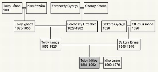 Toldy Miklós családfája